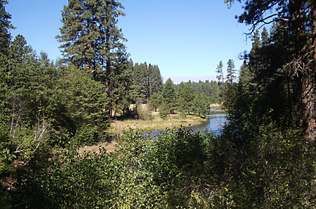View from the Head of the Metolius River