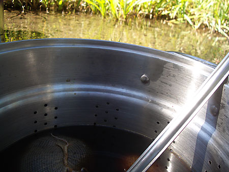 Steeping Grain