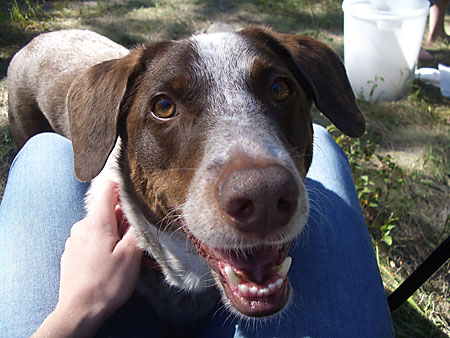 Entertaining Jasper while Waiting