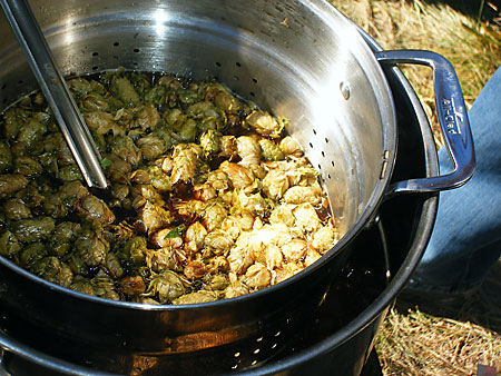 Adding Aroma Hops to the Wort