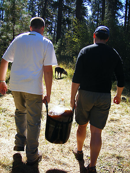 Carrying the Wort back to the Car