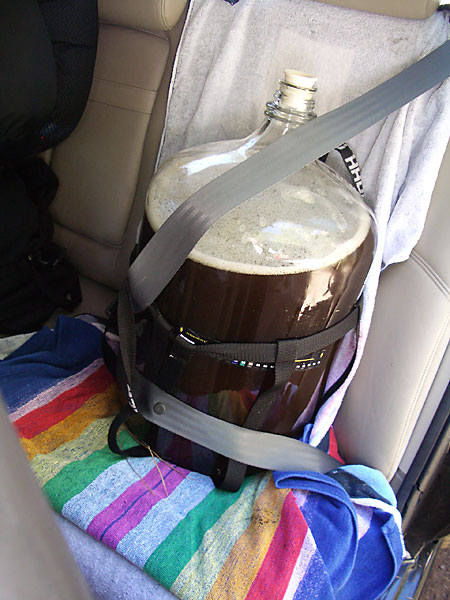 Wort All Buckled In