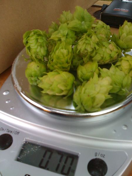 Less than an ounce of Magnum Hops 0.7 oz of Magnum Hops